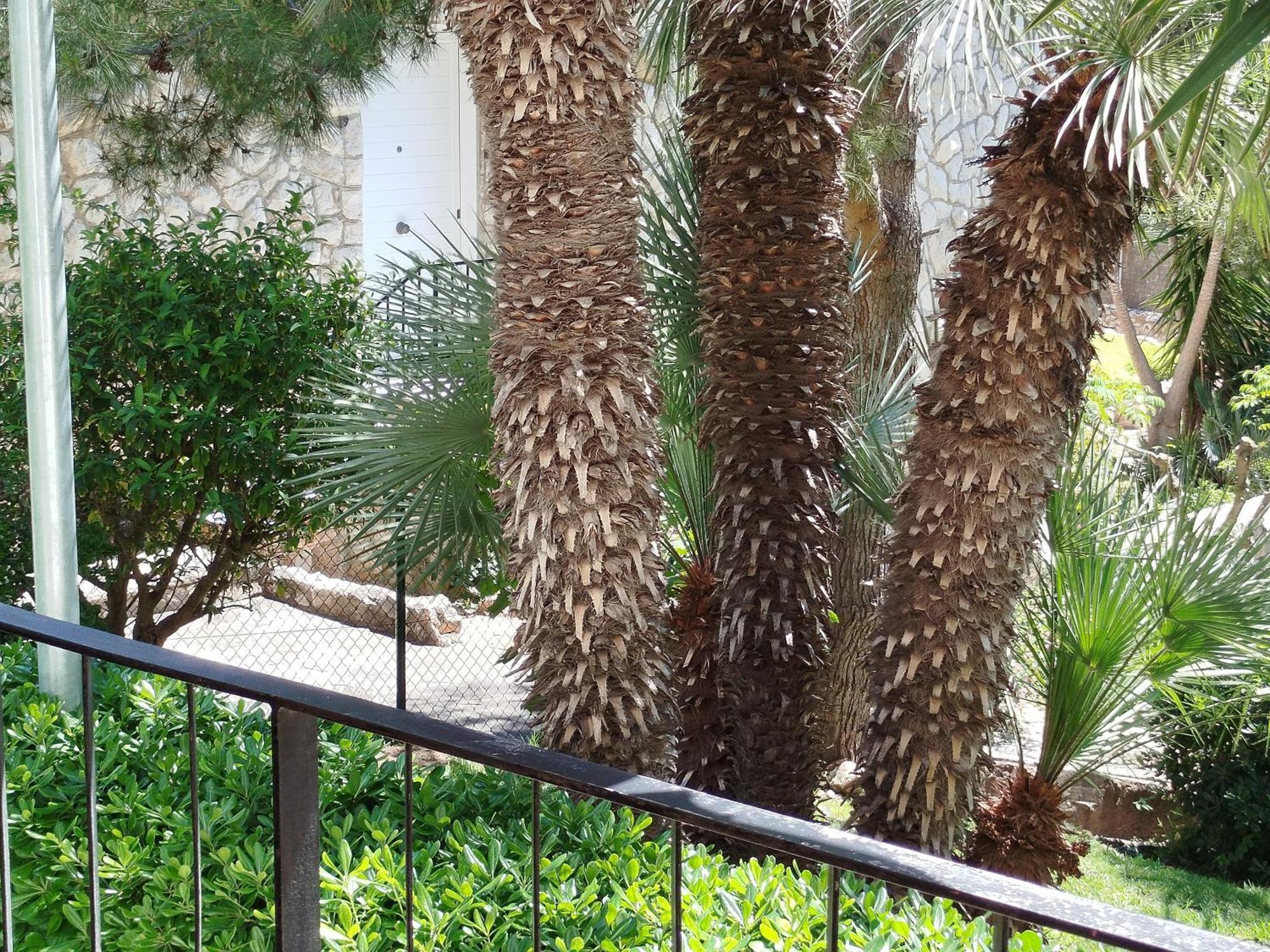 Brisa Del Mar Apartment Salou Exterior photo